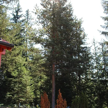 Chechar Zlatar Villa *