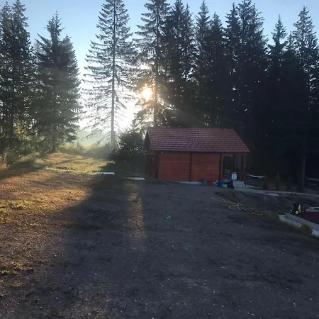 Chechar Zlatar * Нова-Варош