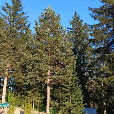 Chechar Zlatar 别墅 *