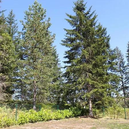 Chechar Zlatar Нова-Варош