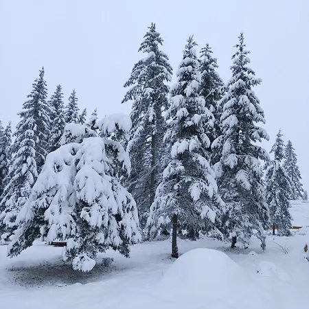 Chechar Zlatar Villa *