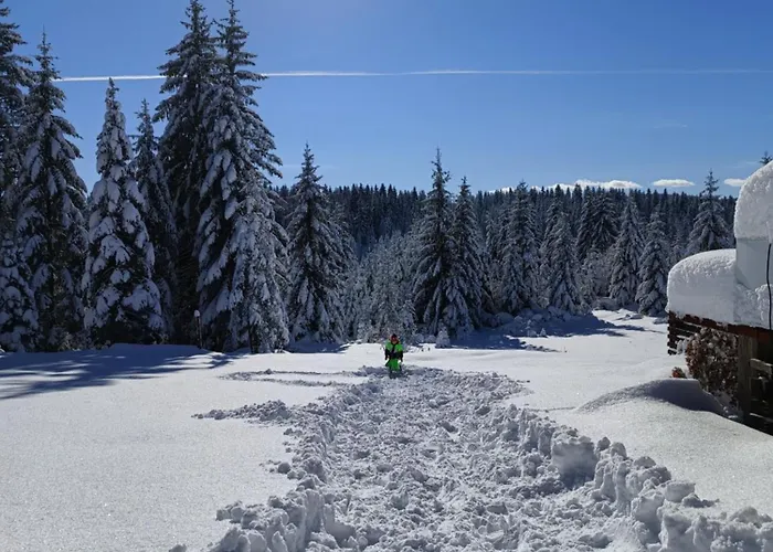 ヴィラ Chechar Zlatar *