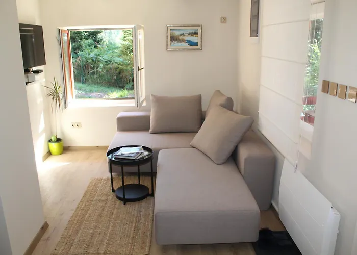 ヴィラ Chechar Zlatar Nova Varoš