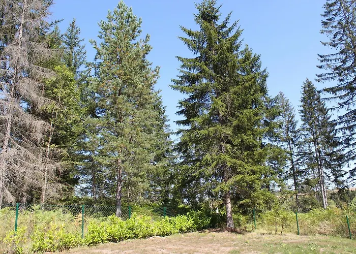 Chechar Zlatar Nova Varoš