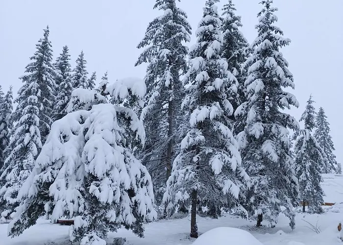 Chechar Zlatar ヴィラ *